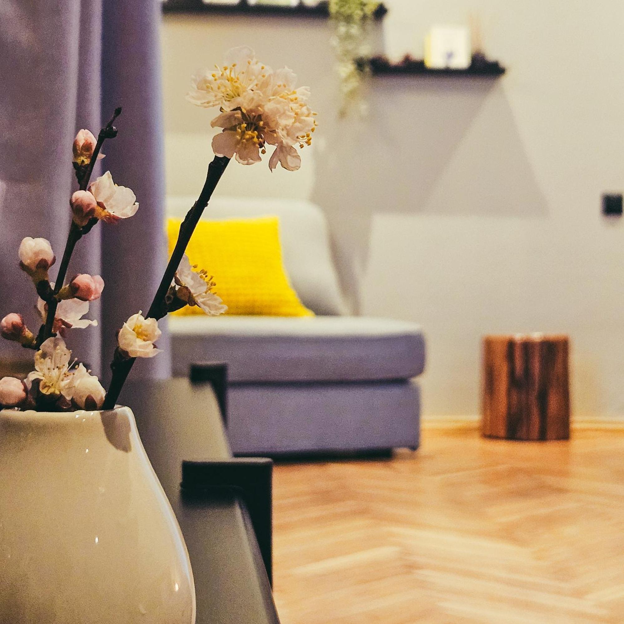 Paulas Room. Riga Ngoại thất bức ảnh